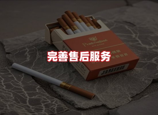 专业团队